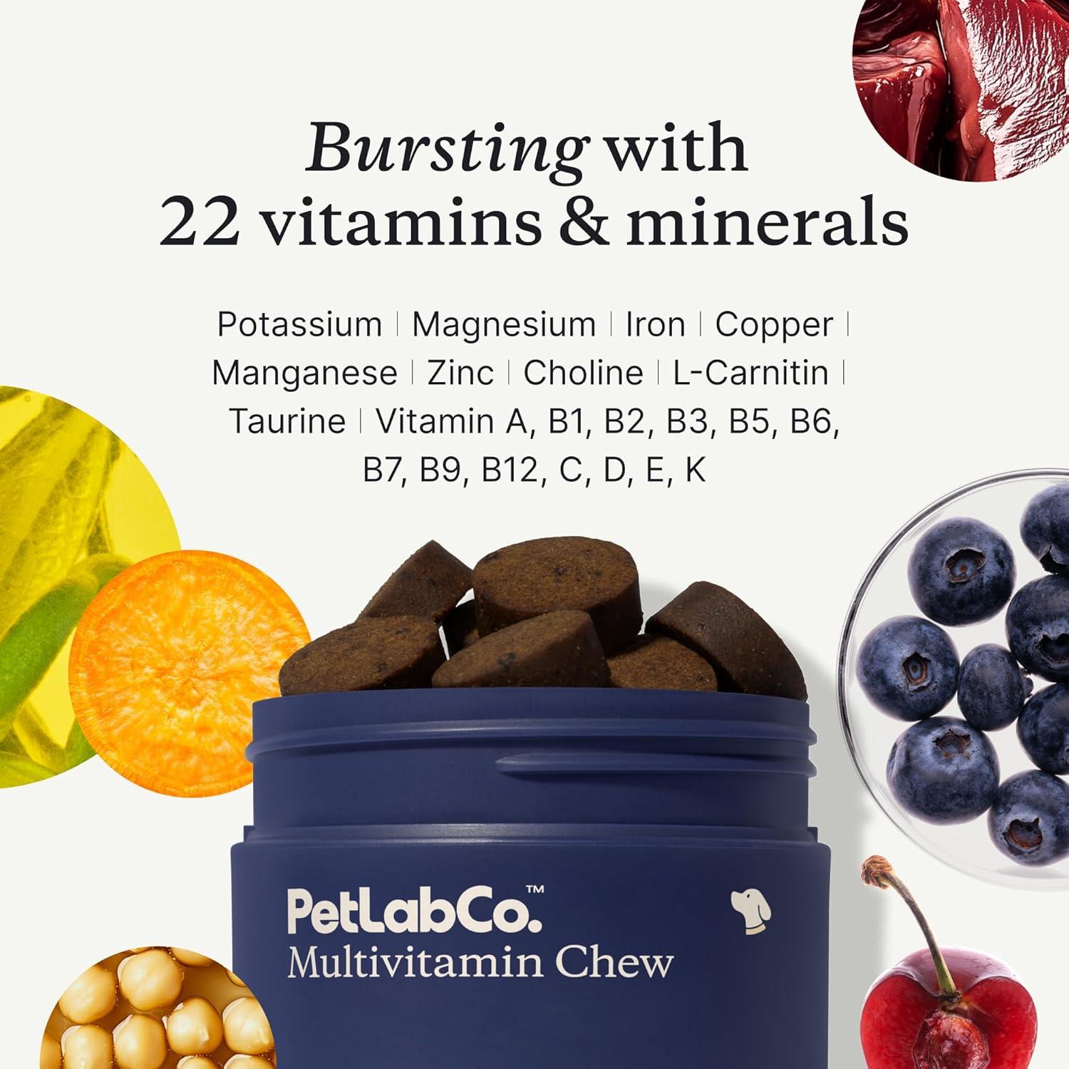 imagePetLab Co 22 in 1 Dog Multivitamin Support Dogs Immune Response Skin Coat Joints amp Overall Health Vitamins A E D B12 Minerals Antioxidants Chewable Pork Flavor Packaging May VarySingle Pack