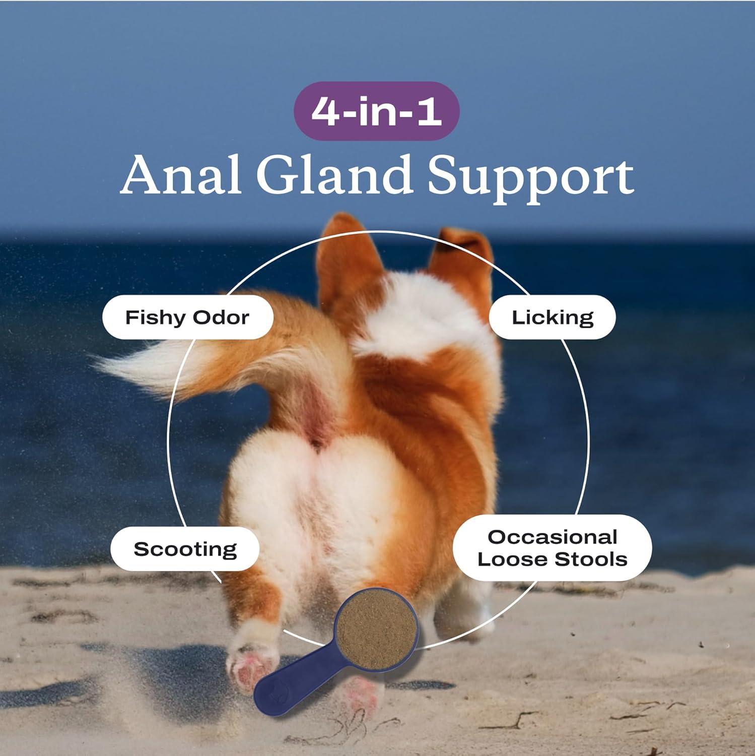 imagePetLab Co Anal Gland Support Tailored Powder Supports Anal Gland Health and Optimizes Stool Consistency Easy to Use Helps Target Scooting amp Fishy Rears for Medium DogsMedium Dogs