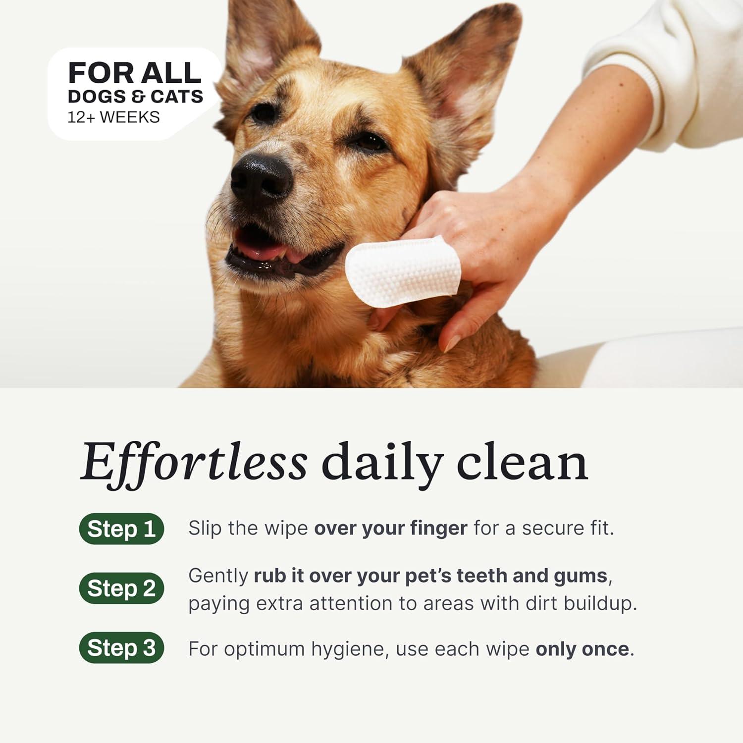 imagePetLab Co Dental Finger Wipes Easy to Use Dog amp Cat Teeth Cleaner Freshens Breath amp Provides A Thorough Clean Supports Overall Oral Hygiene Alcohol amp Fragrance Free Packaging May Vary