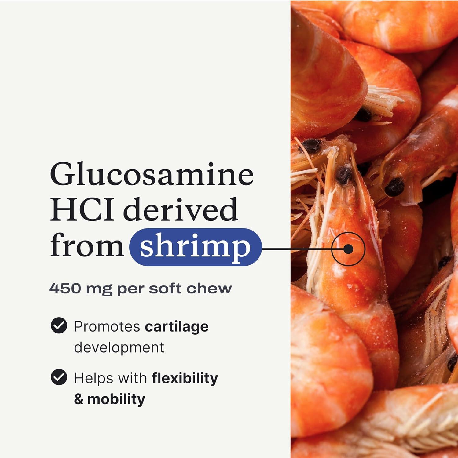 imagePetLab Co Joint Care Chews High Levels of Glucosamine for Dogs Green Lipped Mussels and Omega 3 Dog Hip and Joint Supplement to Actively Support Mobility Packaging May Vary Salmon