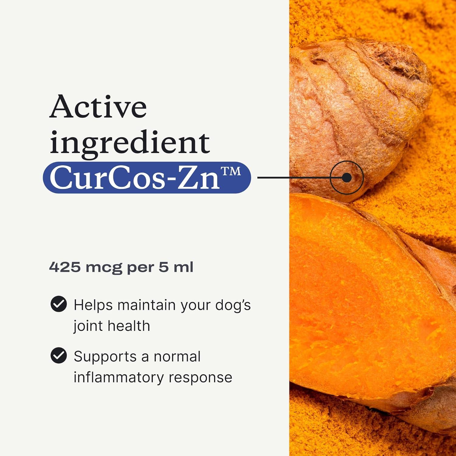 imagePetLab Co Joint amp Mobility Oil for Dogs Mobility Pro Oil Curcumin for Joint Support Promote Healthy Joints amp Flexibility Easy to Use