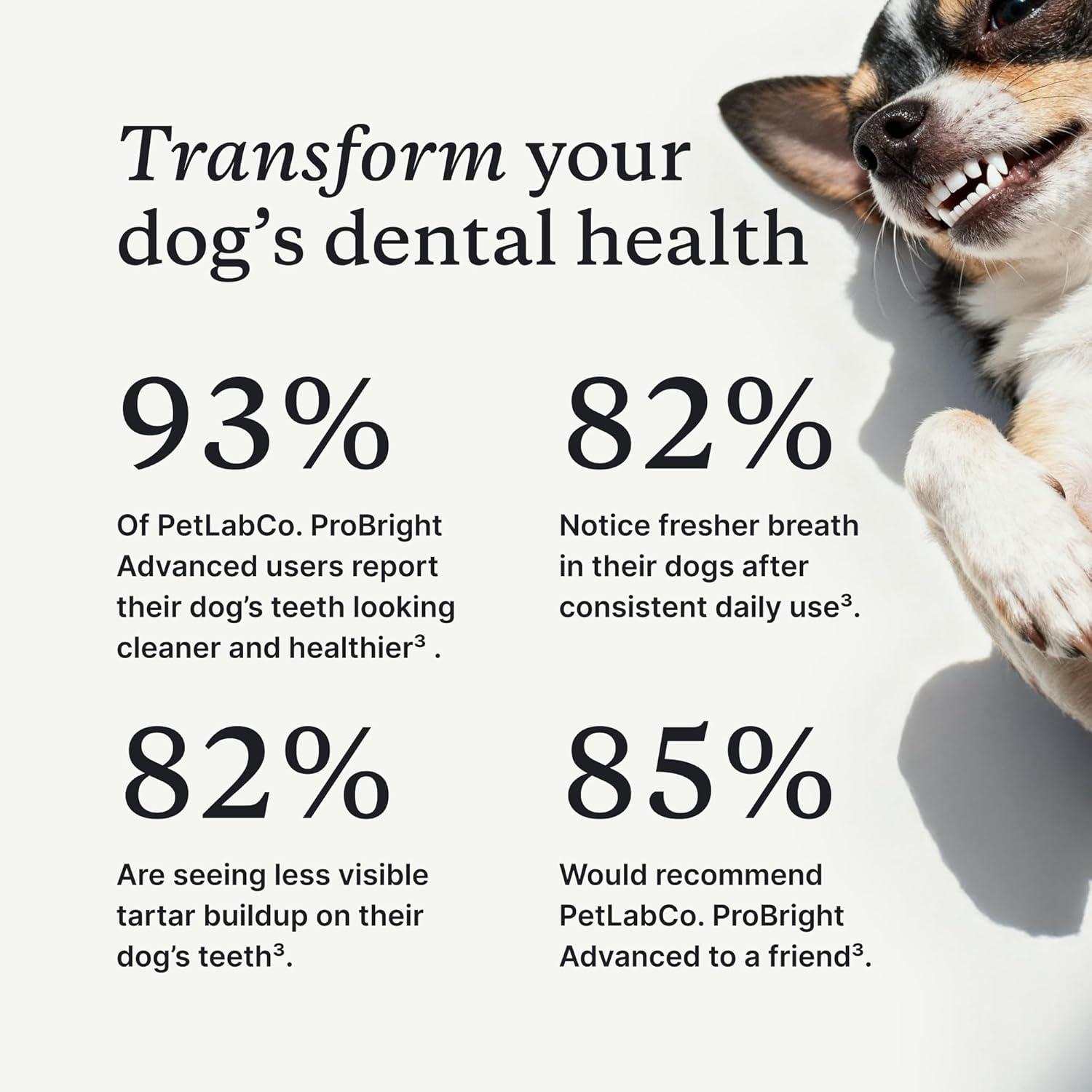 imagePetLab Co ProBright Advanced Dental Powder Dog Breath Freshener Teeth Cleaning Made Easy Targets Tartar amp Bad Breath Packaging May Vary Formulated for Small DogsLarge Dogs