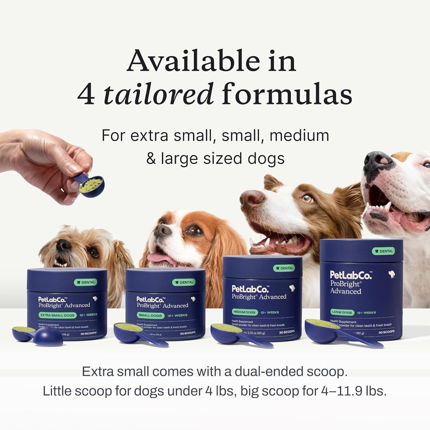 imagePetLab Co ProBright Advanced Dental Powder Dog Breath Freshener Teeth Cleaning Made Easy Targets Tartar amp Bad Breath Packaging May Vary Formulated for Small DogsLarge Dogs