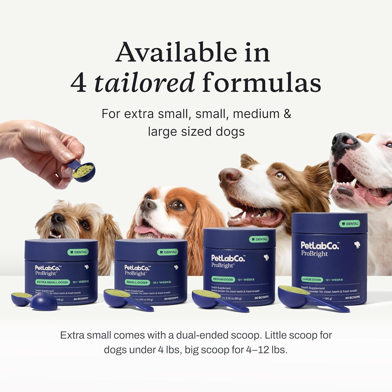 imagePetLab Co ProBright Dental Powder Dog Breath Freshener Teeth Cleaning Made Easy Targets Tartar amp Bad Breath Formulated for Small Dogs Packaging May VarySmall Dogs