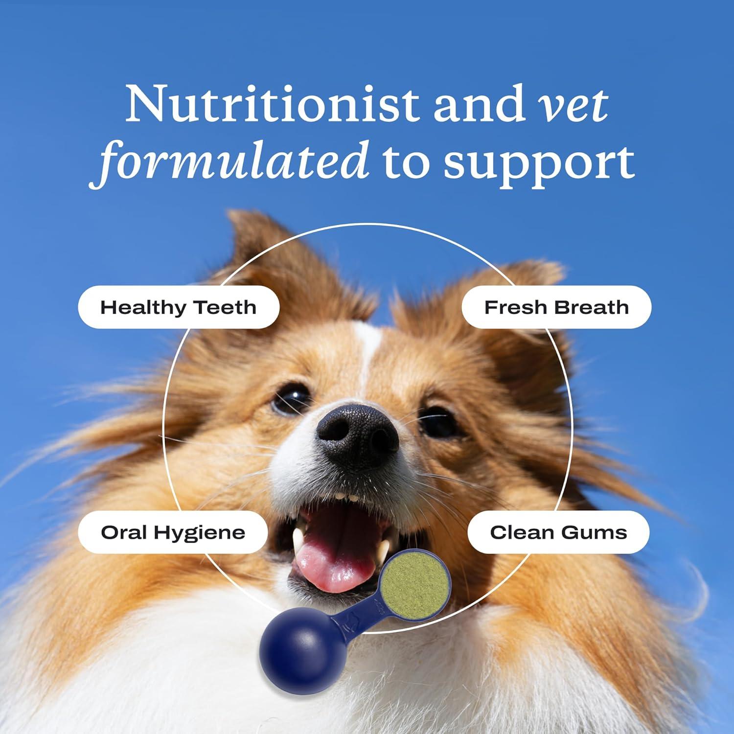 imagePetLab Co ProBright Dental Powder Dog Breath Freshener Teeth Cleaning Made Easy Targets Tartar amp Bad Breath Formulated for Small Dogs Packaging May VaryExtra Small Dogs