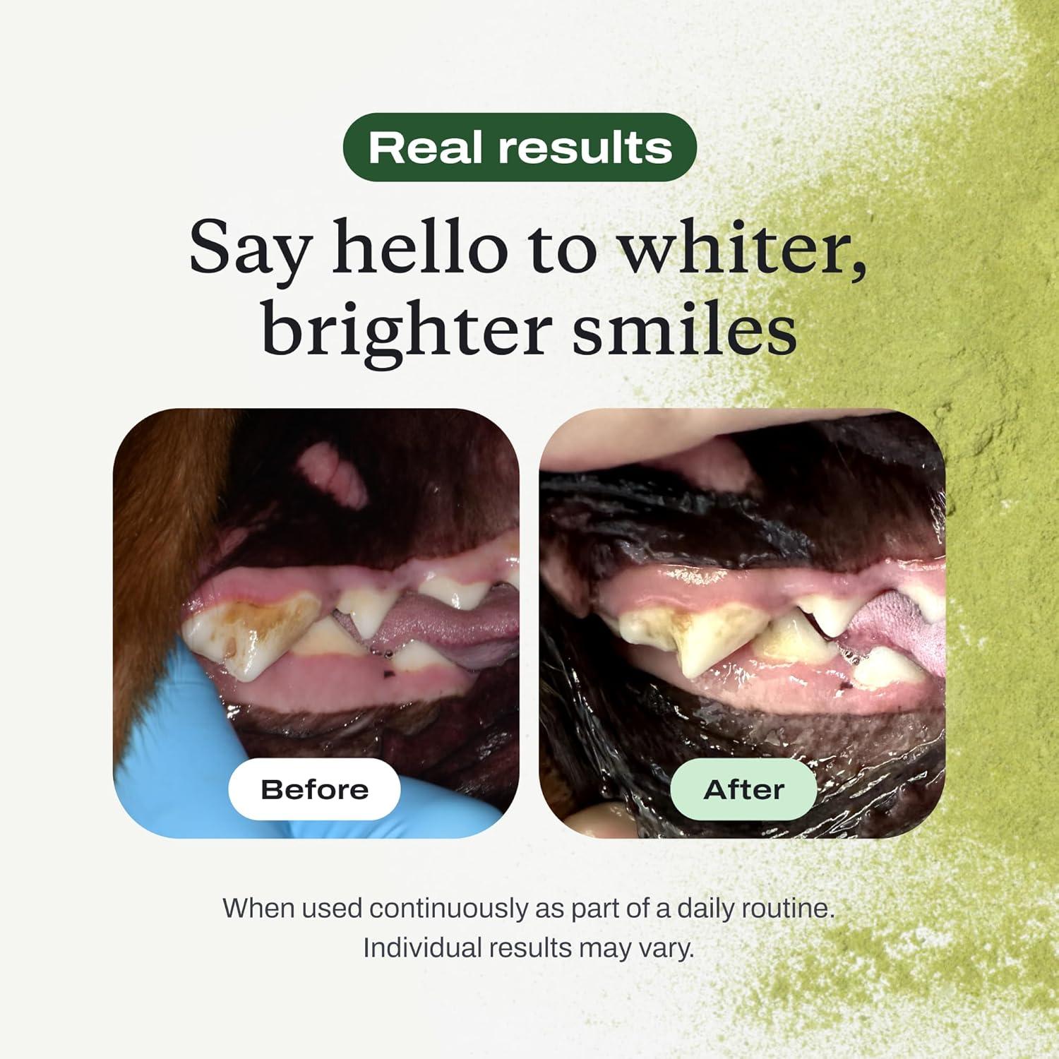 imagePetLab Co ProBright Dental Powder Dog Breath Freshener Teeth Cleaning Made Easy Targets Tartar amp Bad Breath Formulated for Small Dogs Packaging May VarySmall Dogs
