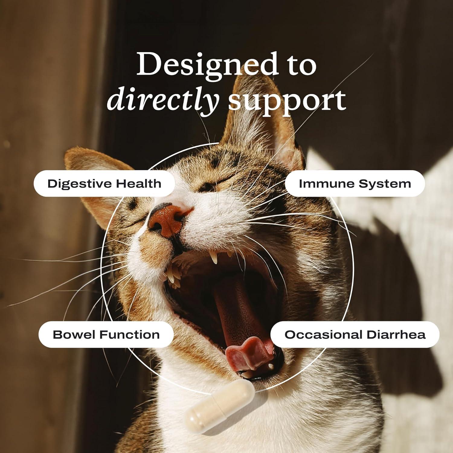 imagePetLab Co Probiotics for Cats