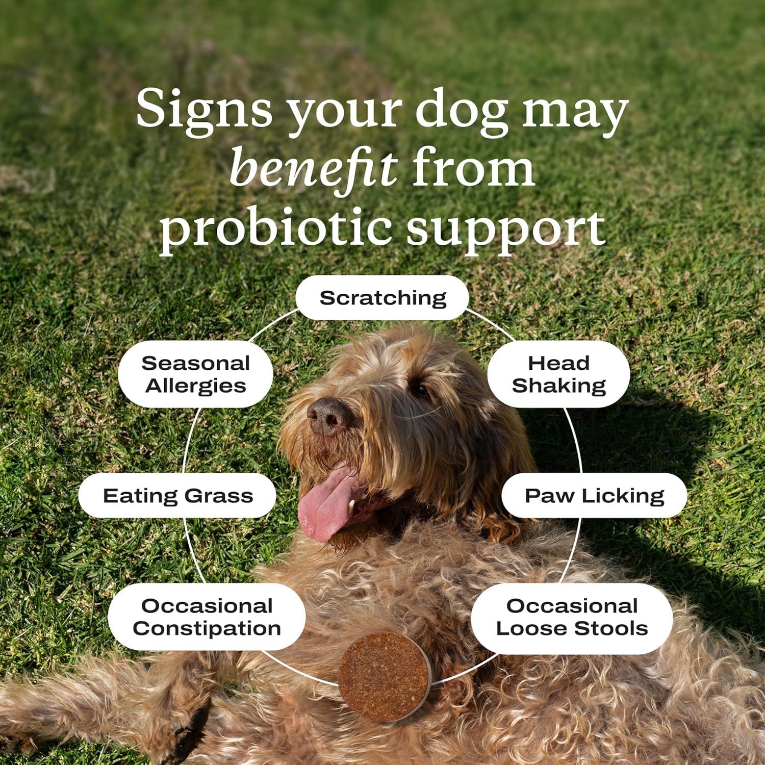 imagePetLab Co Probiotics for Dogs Support Gut Health Occasional Diarrhea Digestive Health Paw Licking amp Seasonal Allergies Pork Flavor 30 Soft Chews Formulated for Small DogsDogs