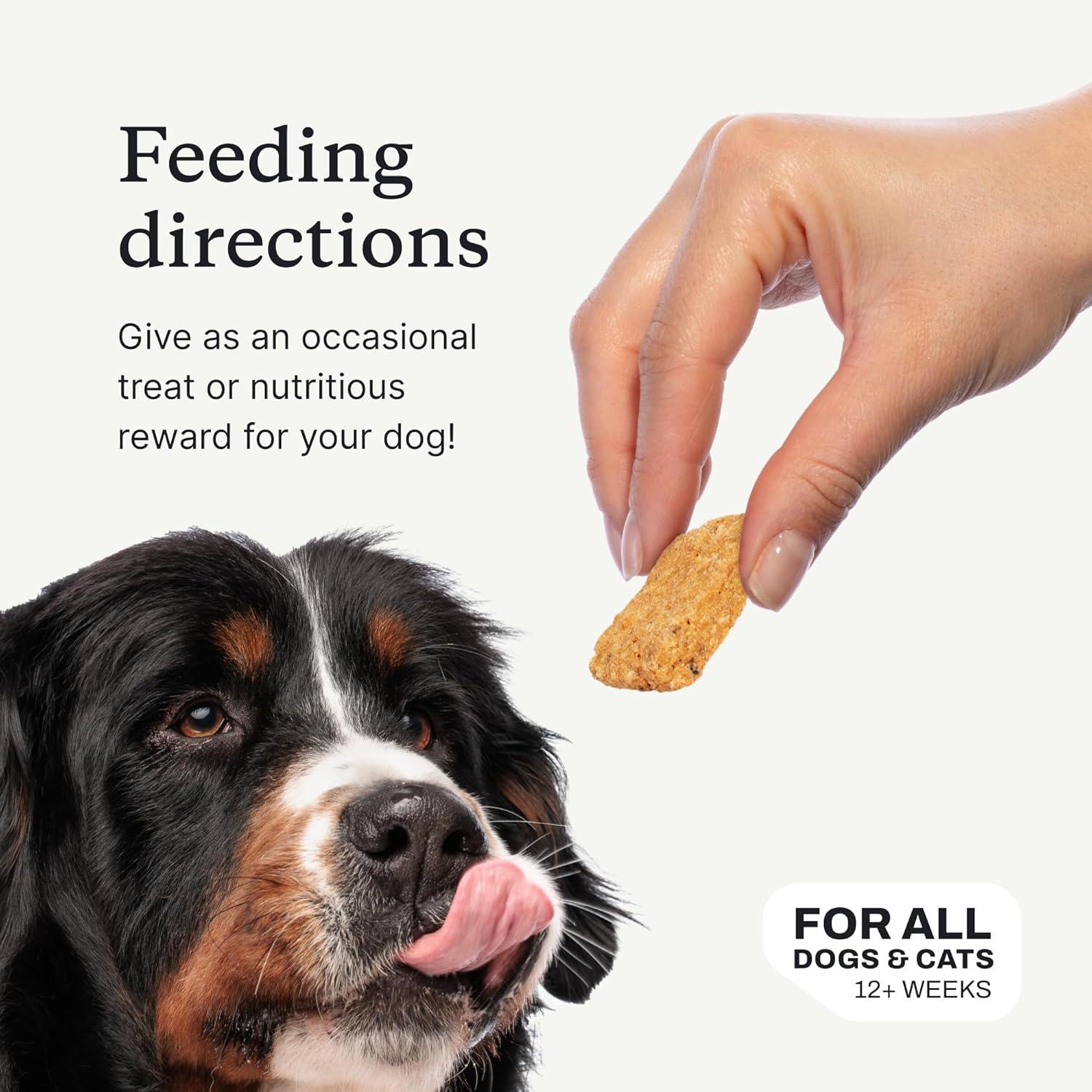 imagePetLab Co Salmon Bites for Dogs Rich in Beneficial Fatty Acids Vitamins amp Minerals Premium Salmon Dog Treats Your Pup Will Drool Over Carefully Selected Ingredients Delicious Reward