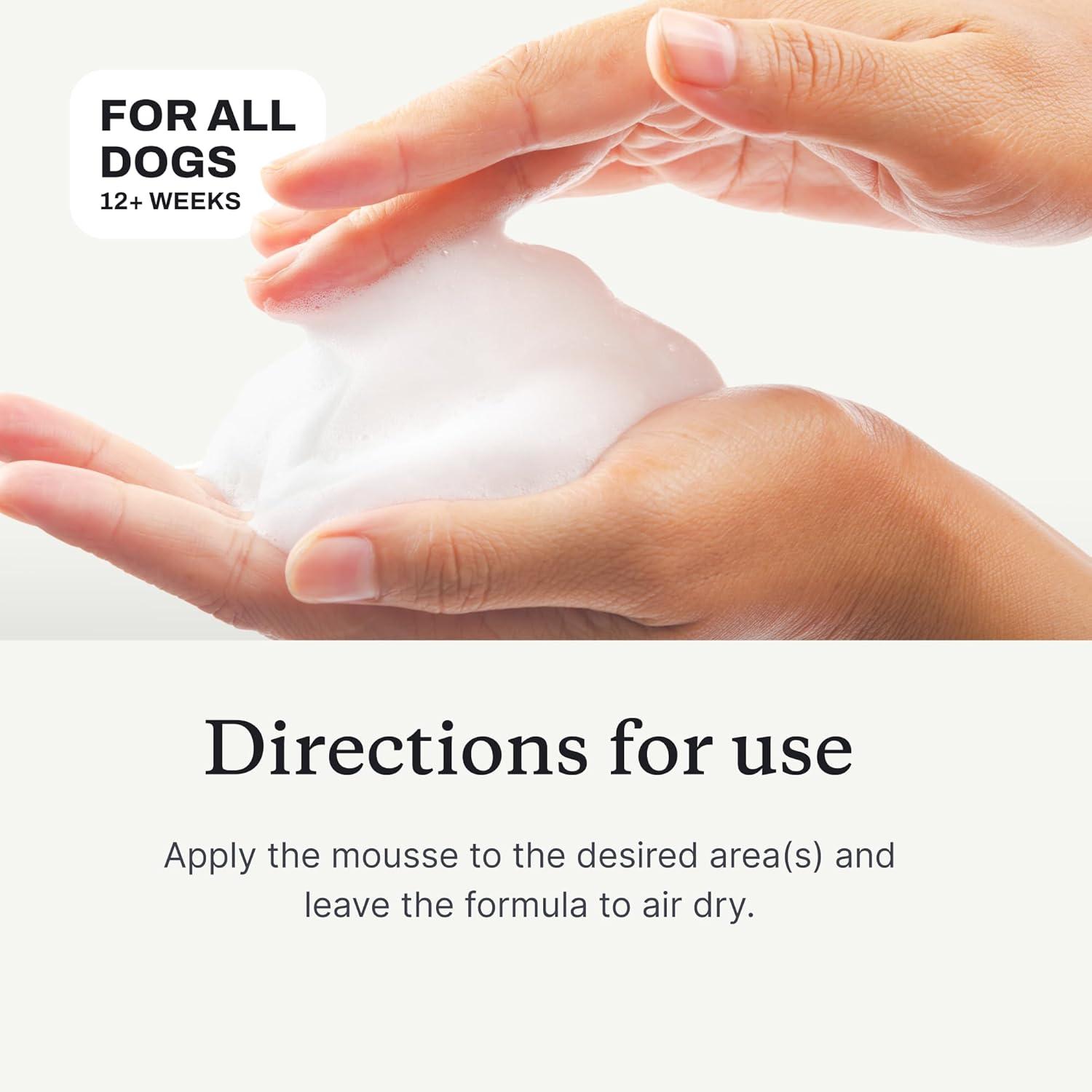 imagePetlab Co Itch Relief Mousse Moisturize Deodorize amp Support Dry Skin with This Dry Dog Shampoo Unique QuickDry Formula Delivers Support to Promote Coat Comfort
