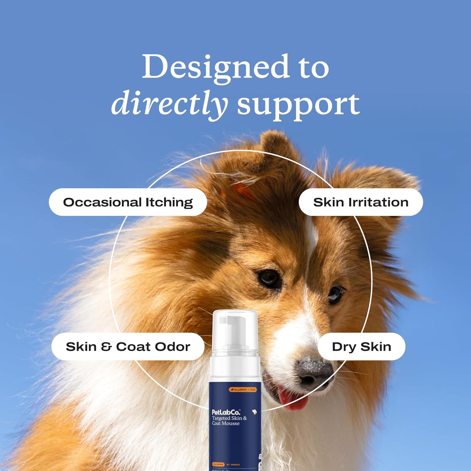 imagePetlab Co Itch Relief Mousse Moisturize Deodorize amp Support Dry Skin with This Dry Dog Shampoo Unique QuickDry Formula Delivers Support to Promote Coat Comfort
