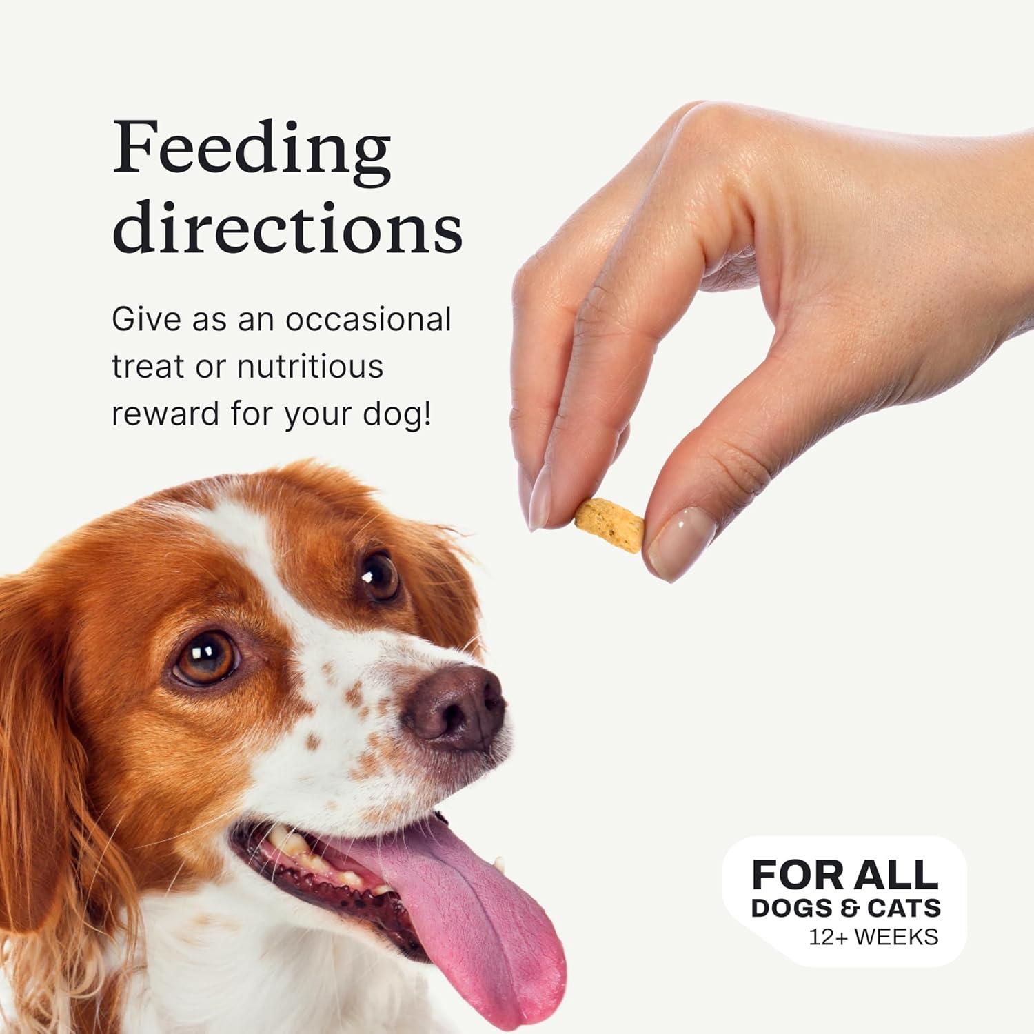imagePetlab Co Wild Caught Salmon FreezeDried Dog Treats Support Overall Skin Health with Healthy Dog Treats Packed with Beneficial Fatty Acids Vitamins amp Minerals Packaging May VaryWild Caught Salmon