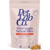 imagePetlab Co Wild Caught Salmon FreezeDried Dog Treats Support Overall Skin Health with Healthy Dog Treats Packed with Beneficial Fatty Acids Vitamins amp Minerals  Packaging May VaryWild Caught Salmon