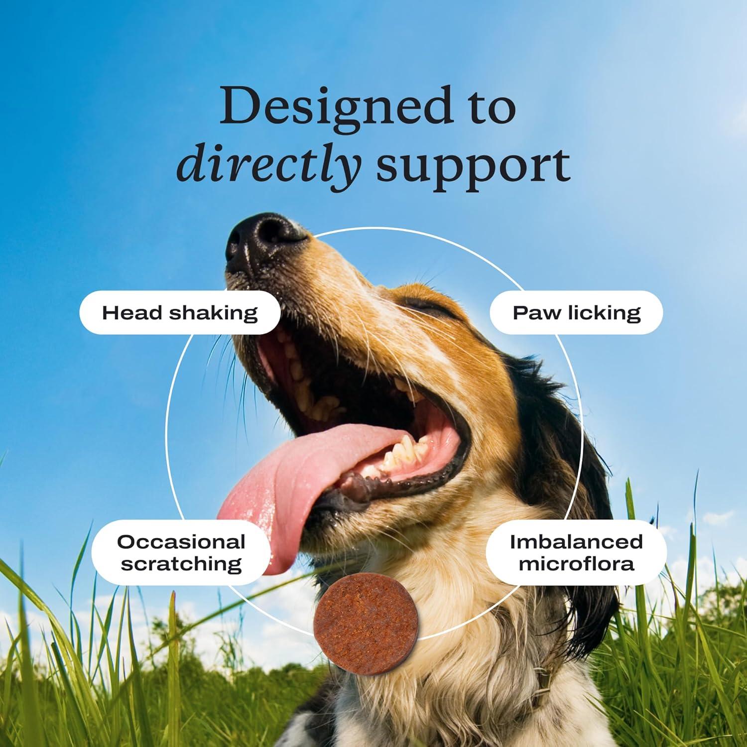 imagePetLab Co Allergy amp Immune Daily Probiotics for Dogs Supports Yeast Production Seasonal Allergies Intermittent Itchiness Gut amp Digestive Health 30 Chews for Small Dogs Packaging May VarySmall Dogs