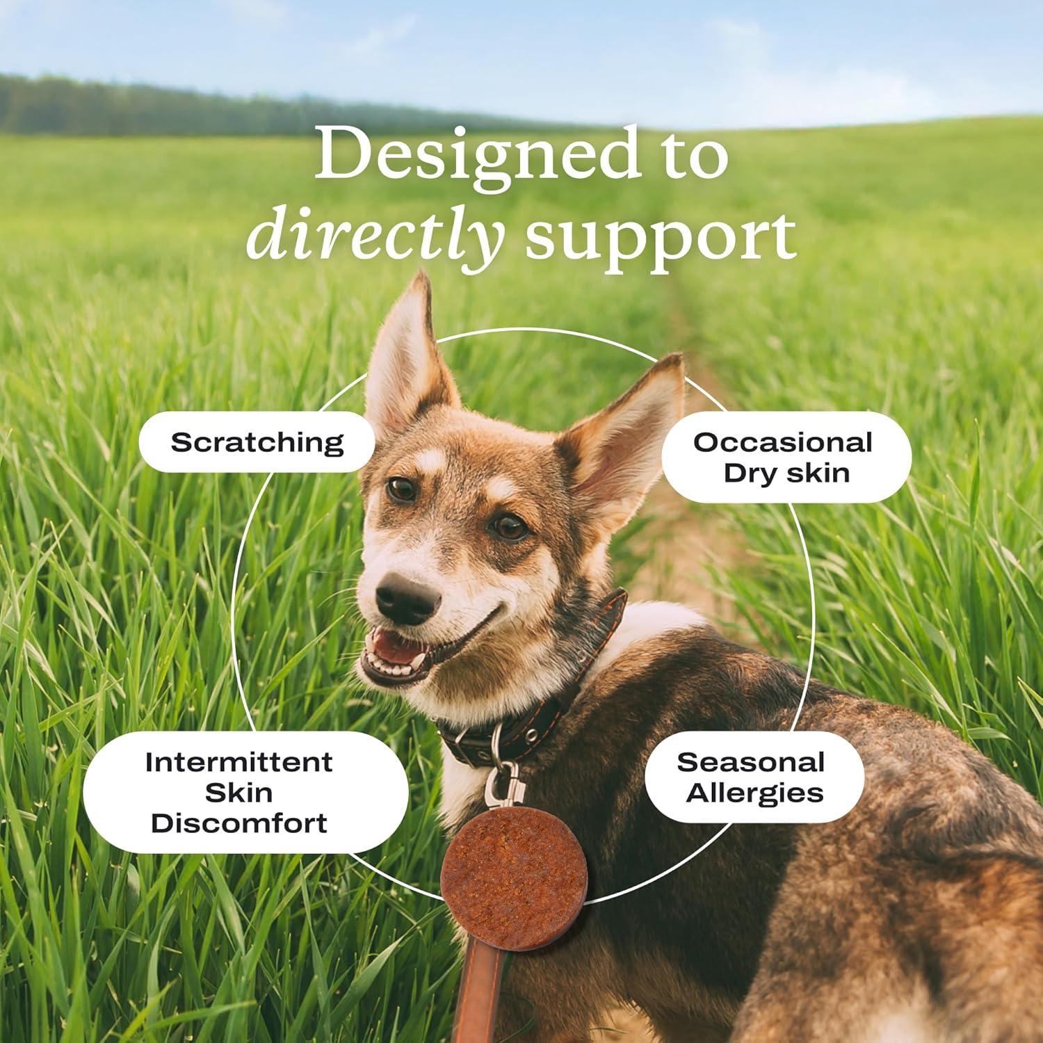 imagePetLab Co Itch Relief Chew Pro Itch Relief Chews for Dogs Omega 3 for Dogs Itch Supplement Packed with Beneficial Fatty Acids for Healthy Skin Seasonal Allergies Support Packaging May VarySalmon