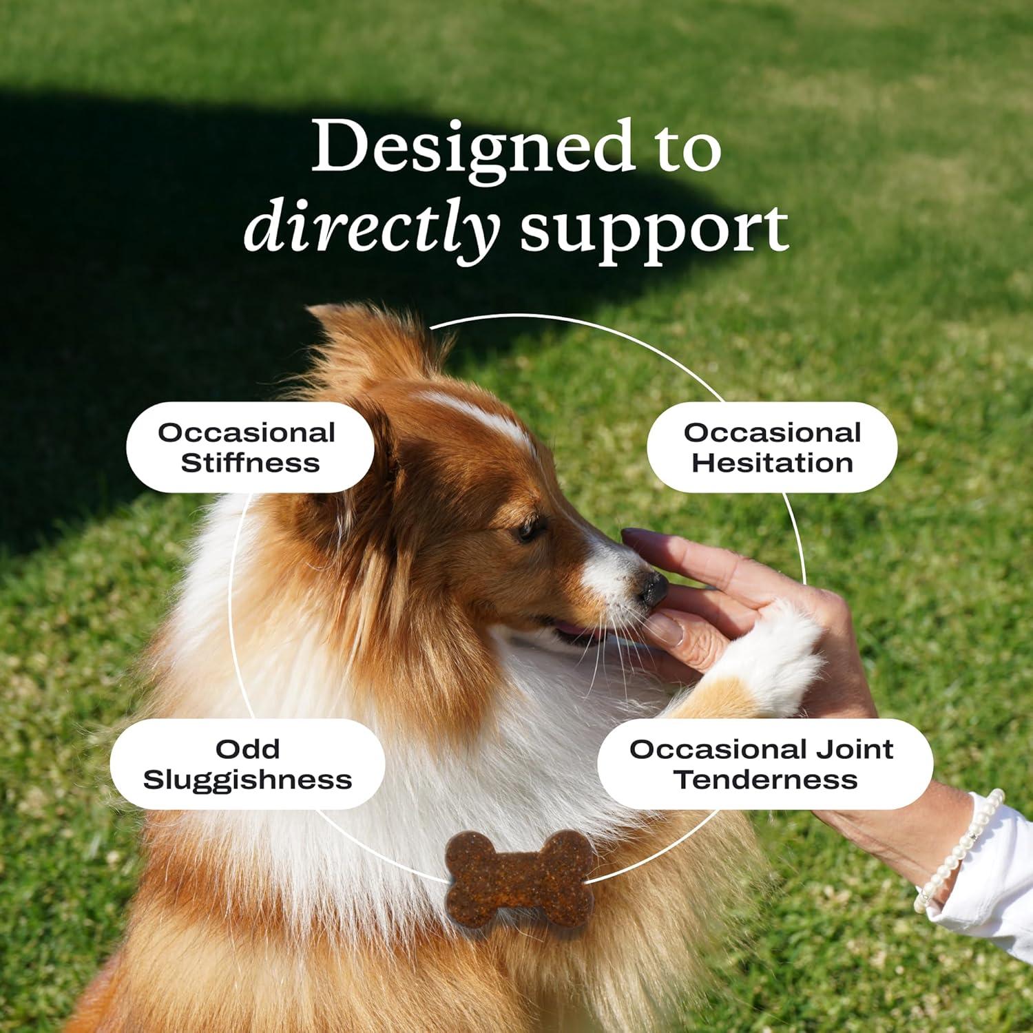 imagePetlab Co Joint Care Chews for Dogs High Levels of Glucosamine Green Lipped Mussels Omega 3 and Turmeric Hip and Joint Supplement for Dogs to Actively Support Mobility Packaging May VaryPork
