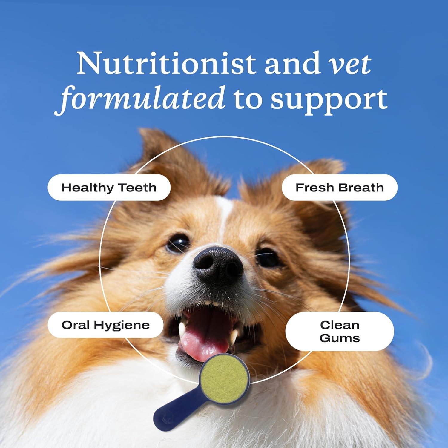 imagePetLab Co Total Teeth Care Bundle Dental Powder for an Effortless Deep Clean in 1 Scoop for Large Dogs amp Dental Chews Target Dirt amp Tartar BuildUp Easy to Use