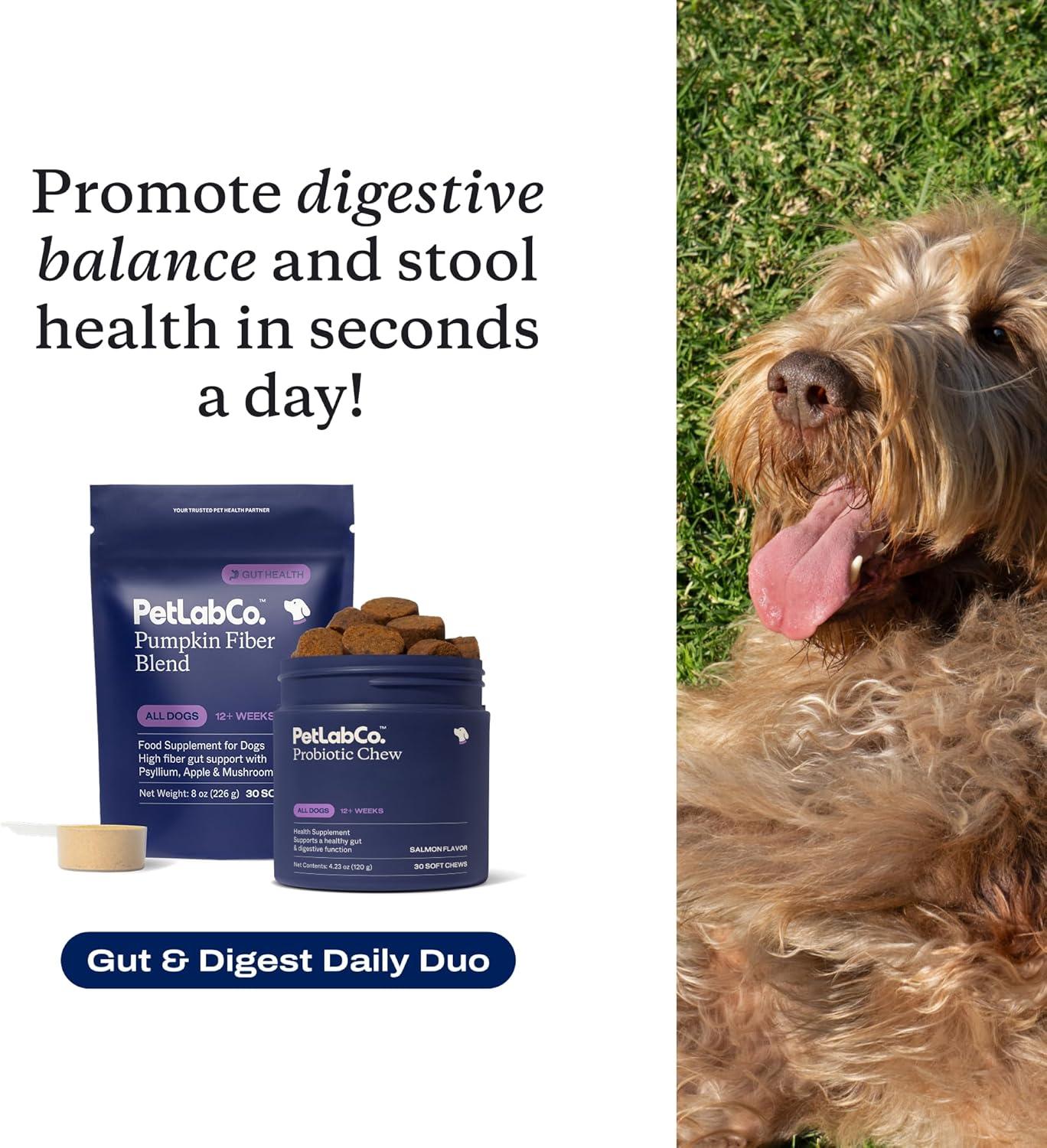 imagePetLabCo Gut amp Digest Daily Duo Pumpkin Powder Blend for Easy Digestion amp Firm Stools for SmallMediumLarge Dogs amp SalmonFlavoured Probiotic Chews to Support Gut amp Immune Balance Easy to Use